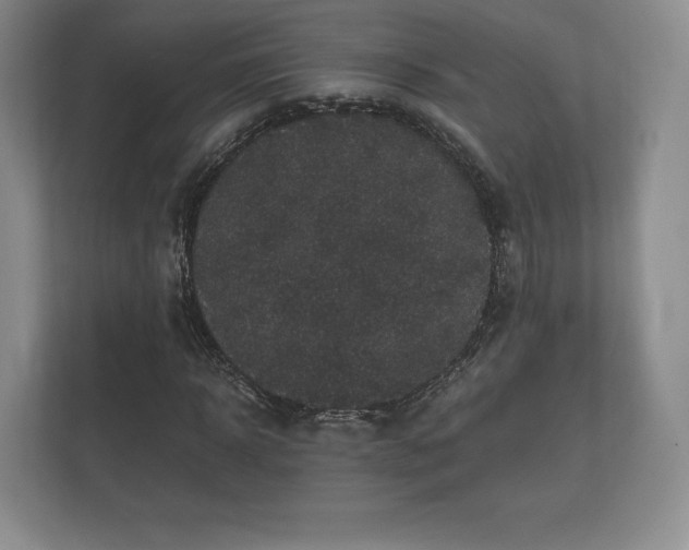 X0000112430918200908211157