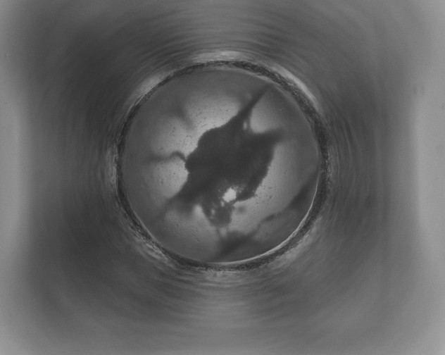X0000112430921200908211157