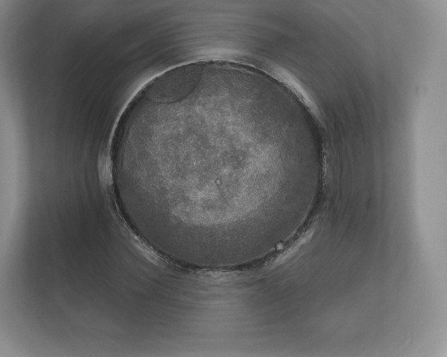 X0000112430924200908211157