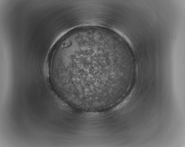 X0000112430925200908211157