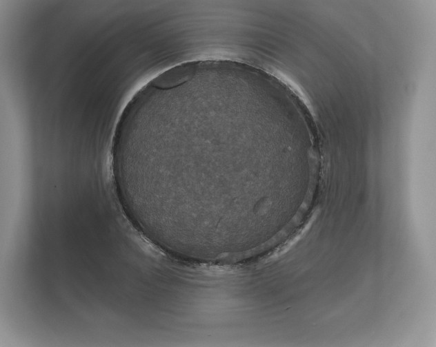 X0000112430928200908211157
