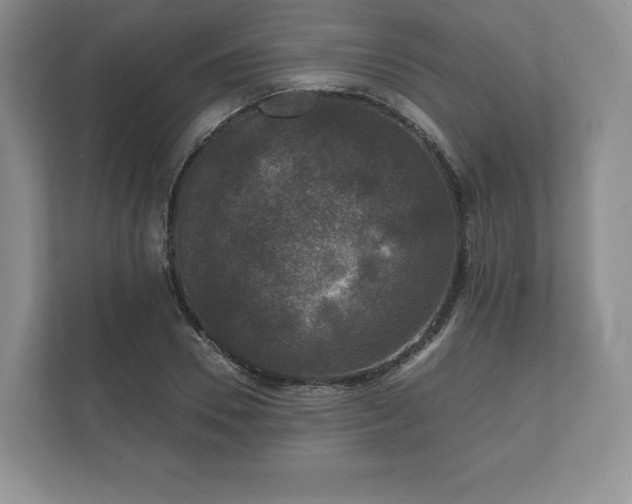 X0000112430930200908211157