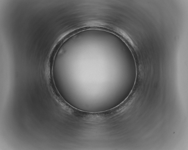 X0000112430931200908211157