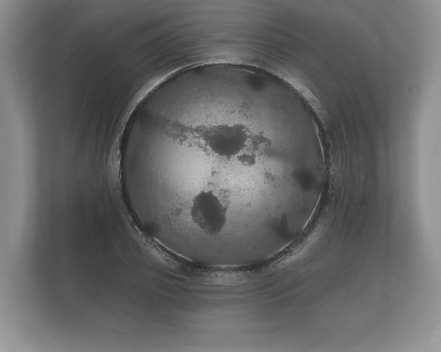 X0000112430933200908211157