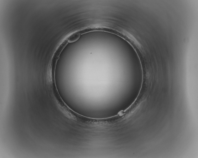 X0000112430934200908211157