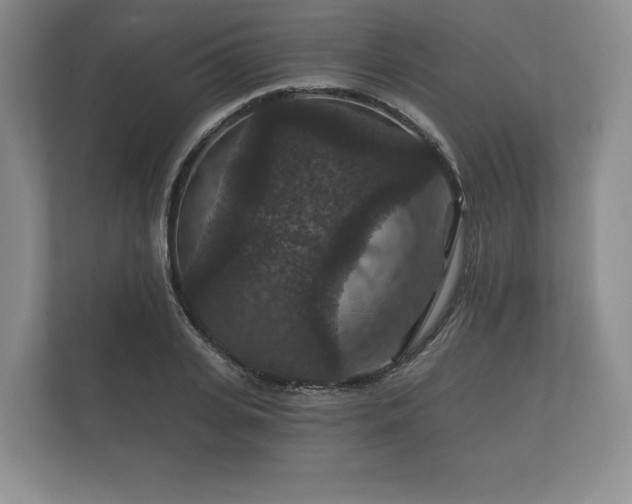 X0000112430935200908211157