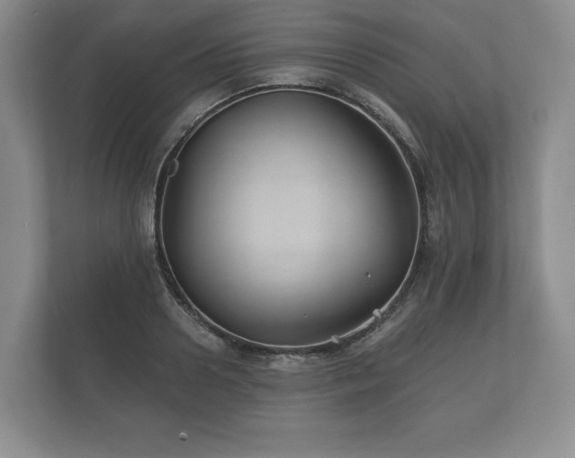 X0000112430938200908211157