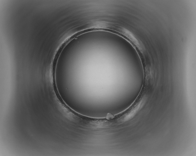 X0000112430939200908211157