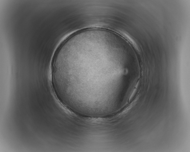 X0000112430940200908211157