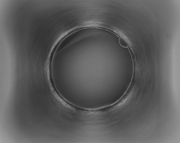 X0000112430941200908211157
