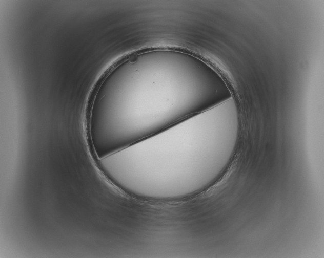X0000112430942200908211157