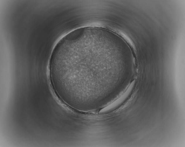 X0000112430944200908211157