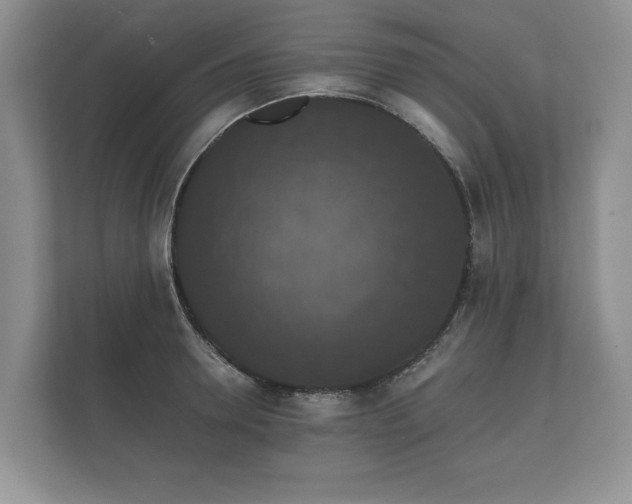 X0000112430946200908211158