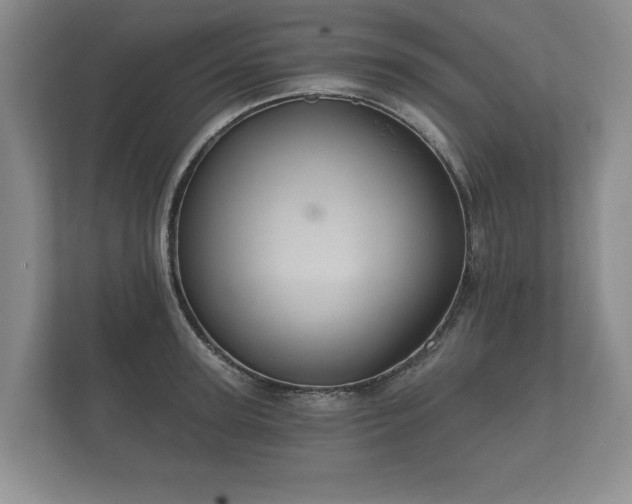 X0000112430947200908211158
