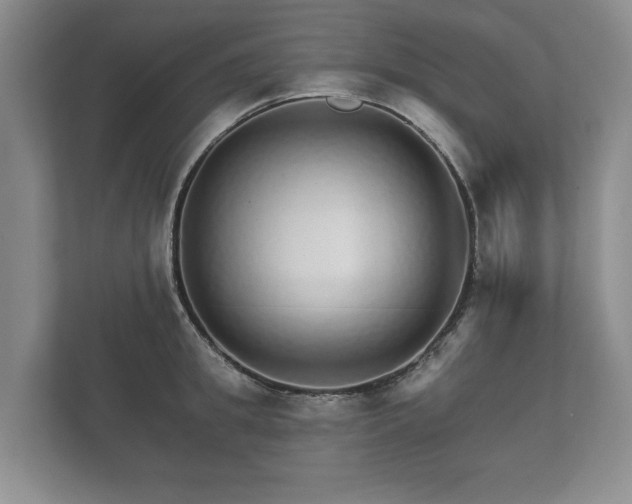 X0000112430949200908211158