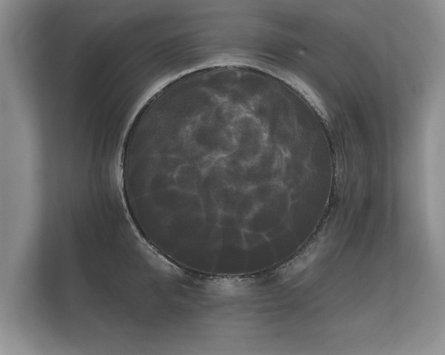 X0000112430950200908211158