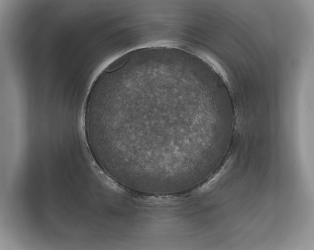 X0000112430952200908211158