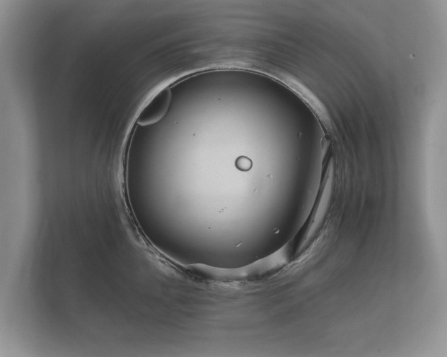 X0000112430956200908211158