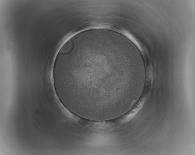 X0000112430959200908211158