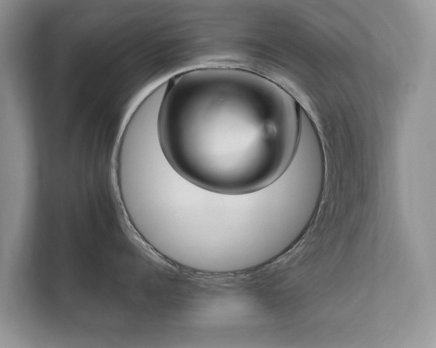 X0000112430960200908211158