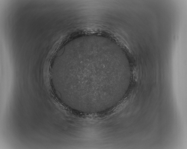 X0000112430961200908211157
