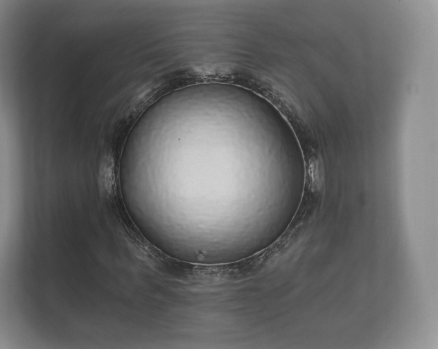 X0000112430963200908211157