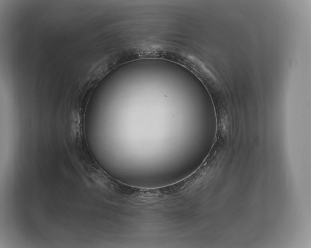 X0000112430964200908211157