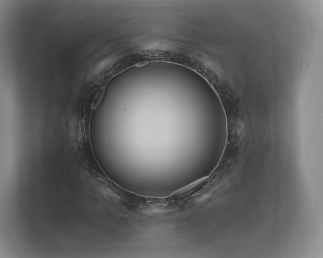 X0000112430965200908211157