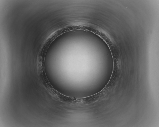 X0000112430968200908211157