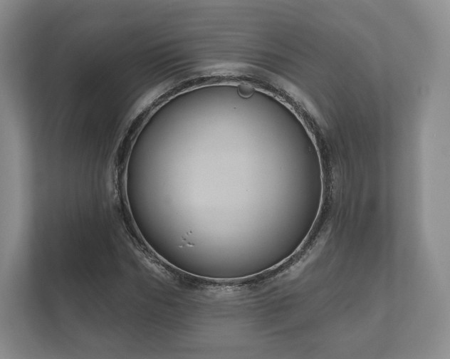 X0000112430970200908211157