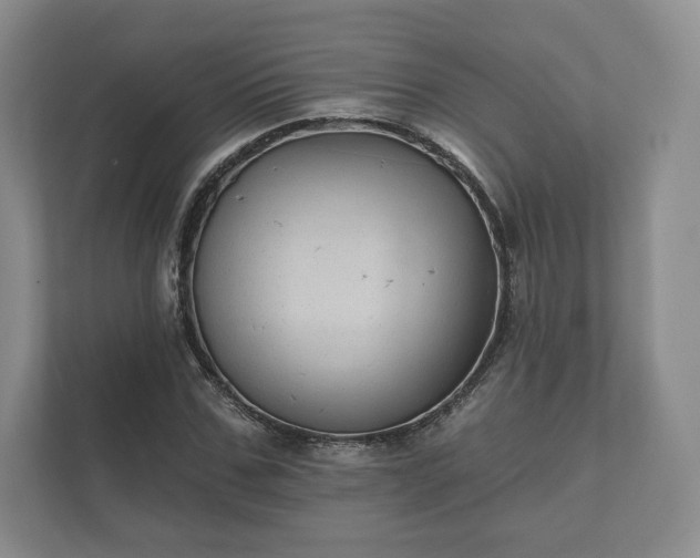 X0000112430971200908211157