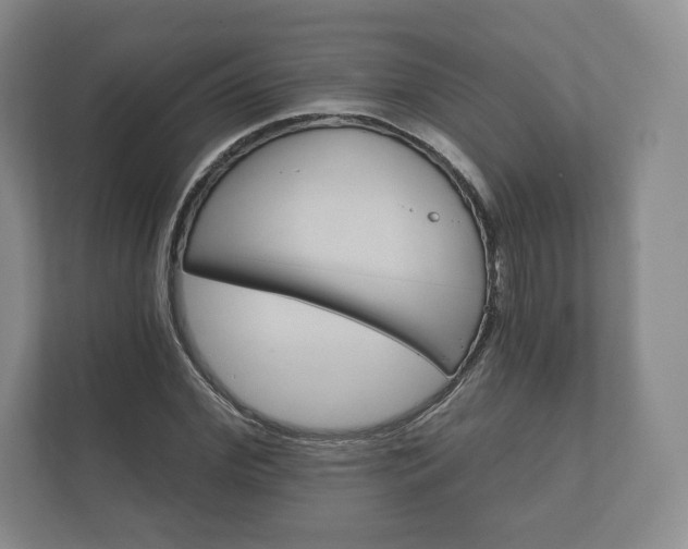 X0000112430972200908211157