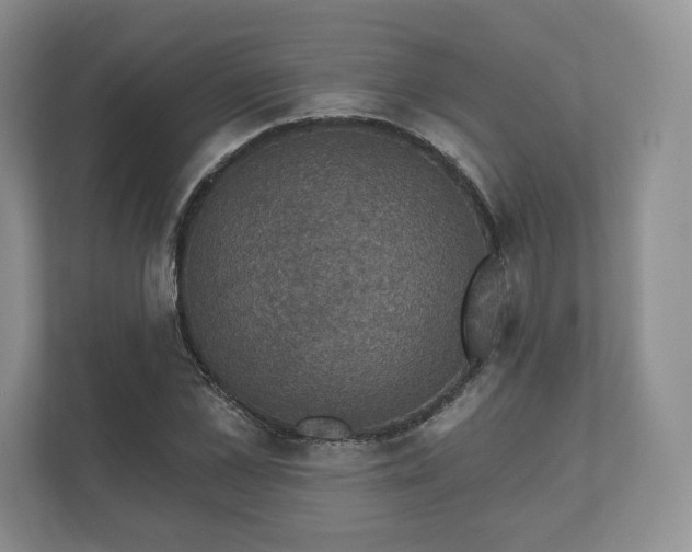 X0000112430973200908211157
