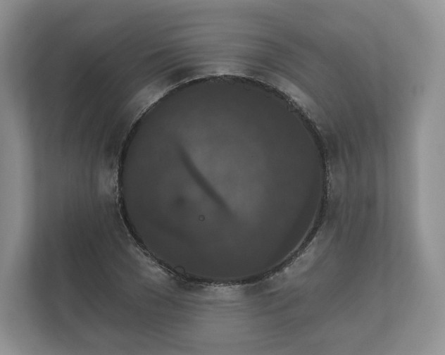 X0000112430977200908211157