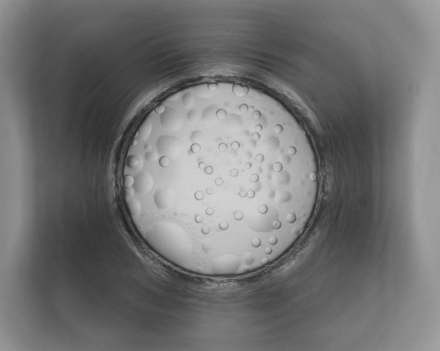 X0000112430978200908211157