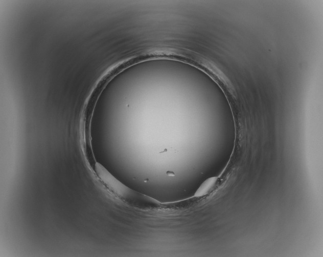 X0000112430984200908211157