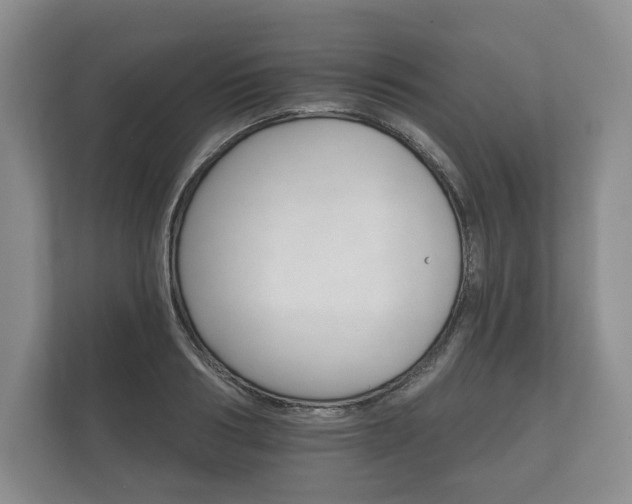X0000112430986200908211157