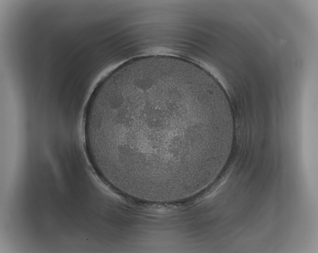 X0000112430987200908211157