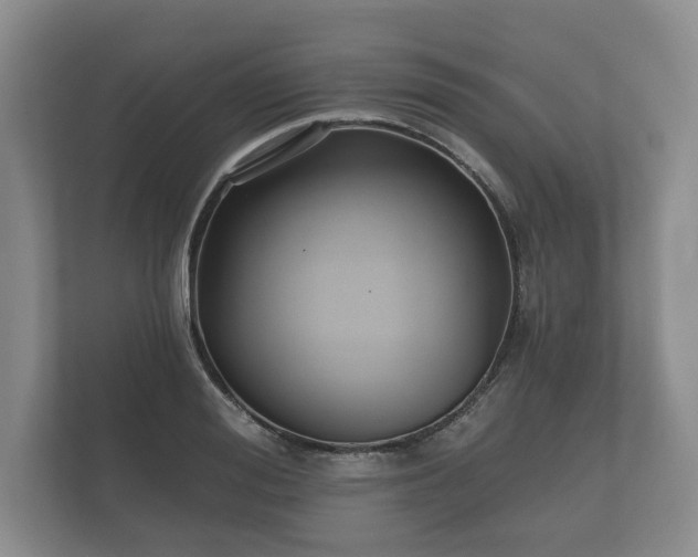 X0000112430988200908211157