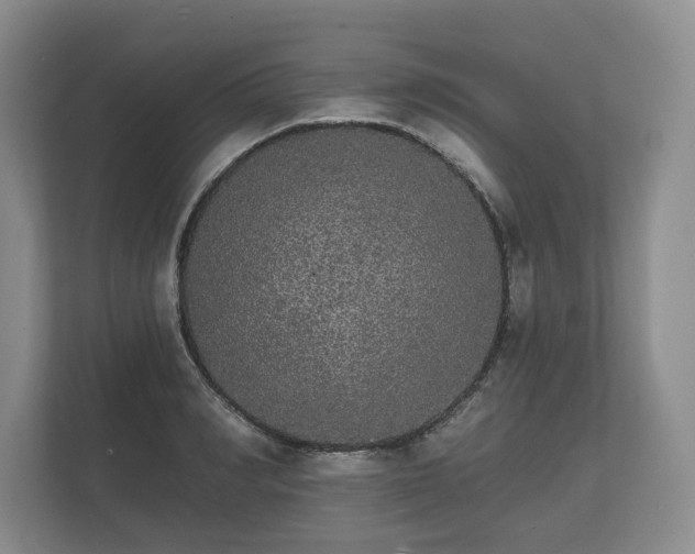 X0000112430990200908211157