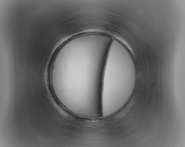 X0000112430991200908211157