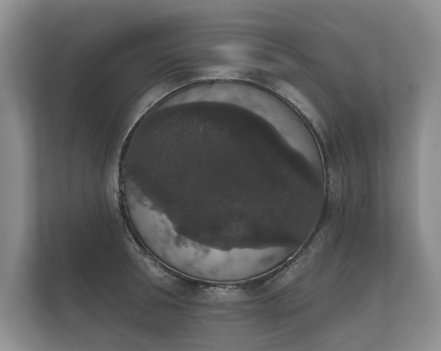 X0000112430994200908211157