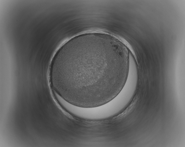 X0000112430997200908211157