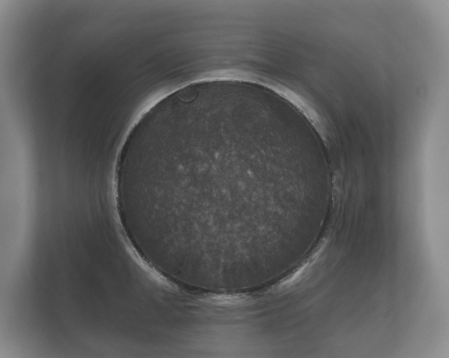 X0000112430998200908211157
