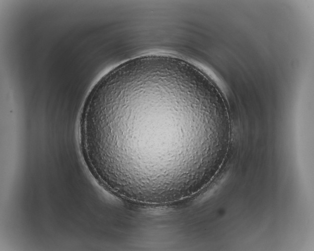 X0000112430999200908211157