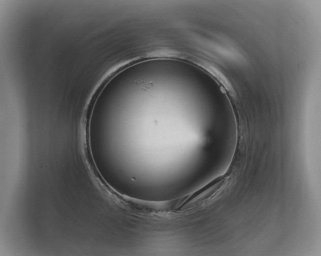 X0000112431000200908211157