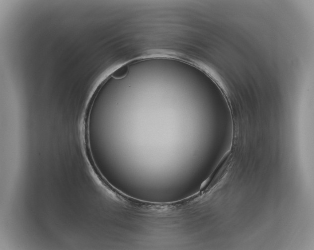 X0000112431003200908211157