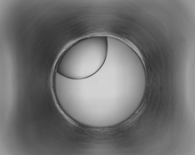 X0000112431005200908211157