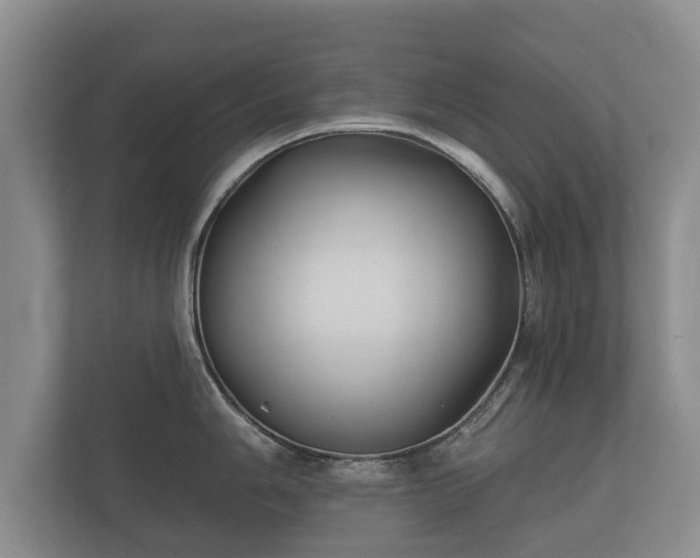 X0000112431006200908211156