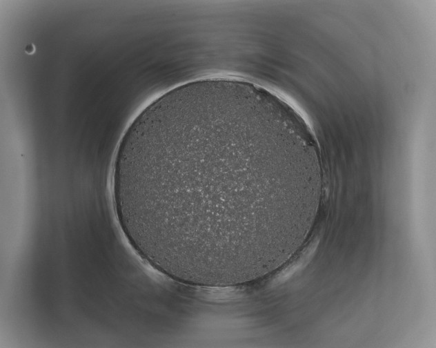 X0000112431007200908211156